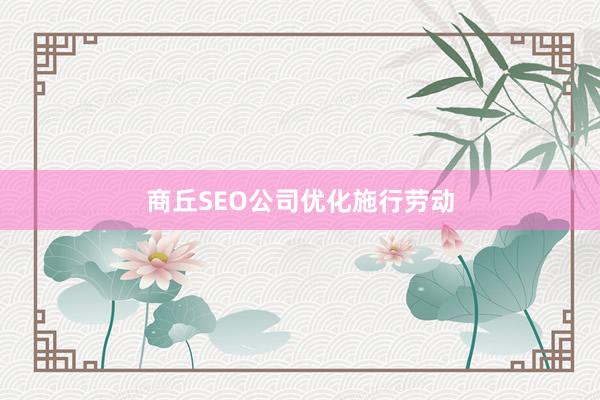 商丘SEO公司优化施行劳动