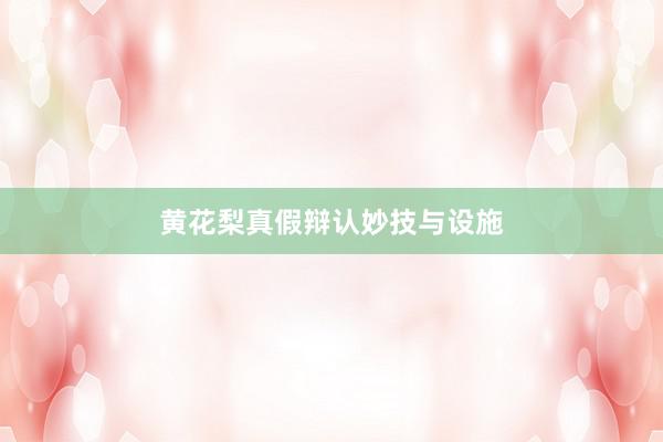黄花梨真假辩认妙技与设施