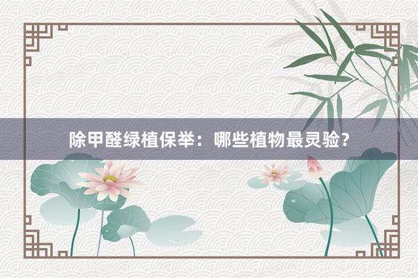 除甲醛绿植保举：哪些植物最灵验？